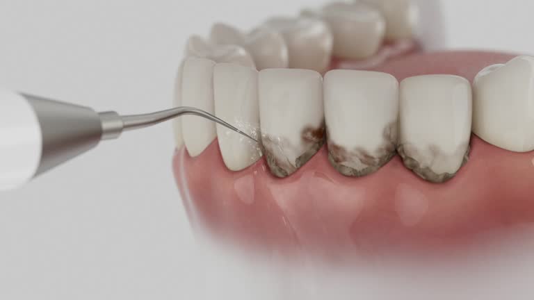 Reliable Dental contractor in Wayne, MI by Dentist Open Now